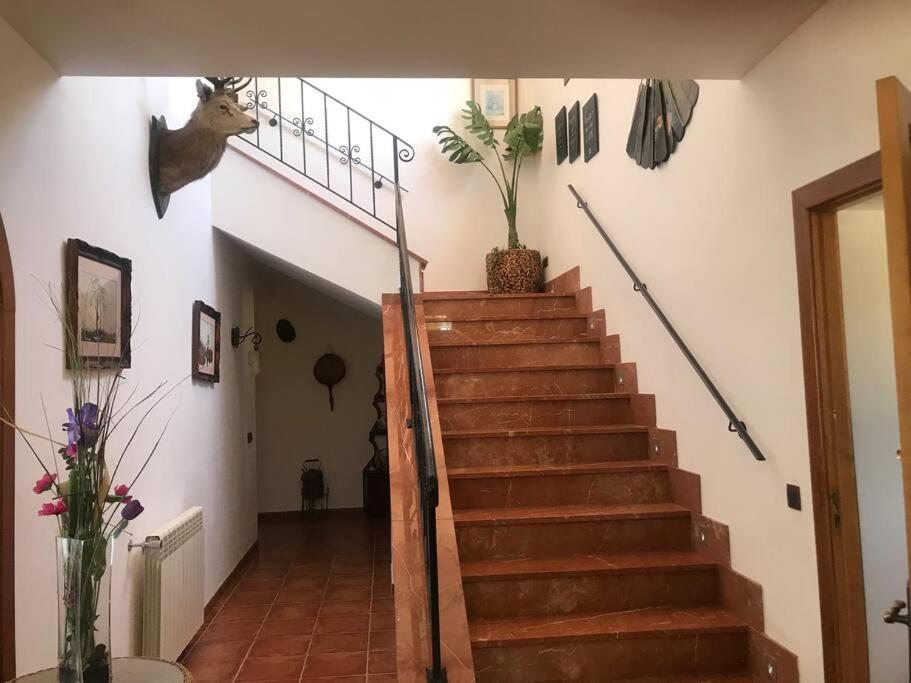 Villa Miramar Sant Llorenc Des Cardassar Luaran gambar